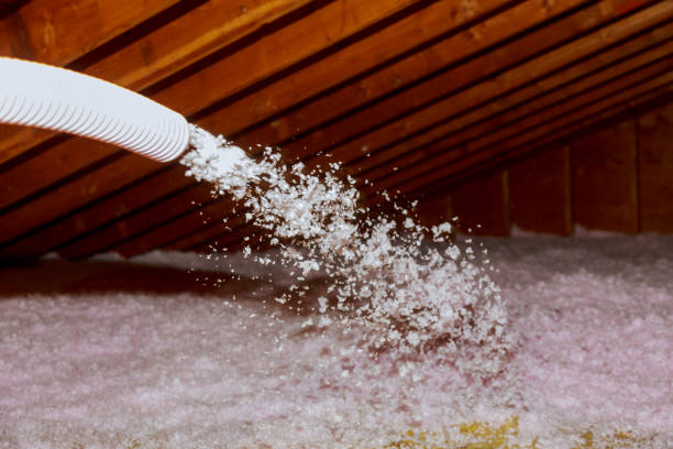 Best Insulation Maintenance and Repair in Rustburg, VA