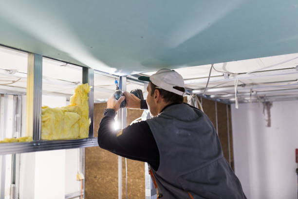 Best Blown-in Insulation in Rustburg, VA